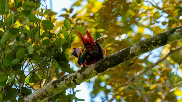 Costa_Rica_2024-12-14-13-27-55_ILCE-9M3_19263_02_02_2025.jpg