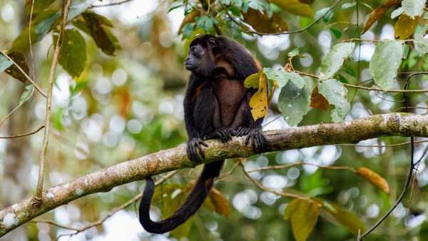 Costa_Rica_2024-12-14-15-10-54_ILCE-9M3_22906_02_02_2025.jpg