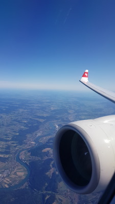 20190919_105457.jpg