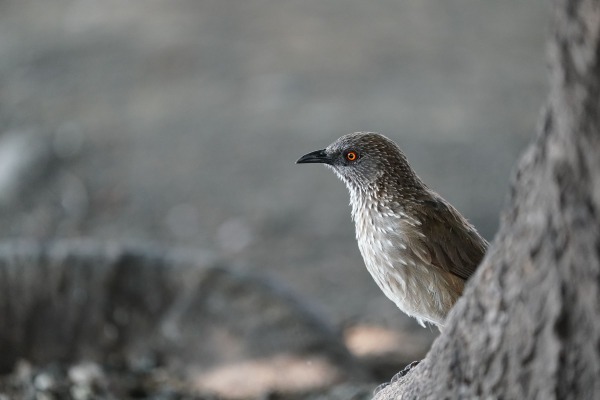 A9A05038_ergebnis_0.jpg