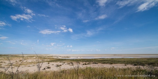 Etosha-4764_0.jpg