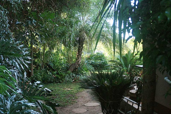 garden3_0.jpeg