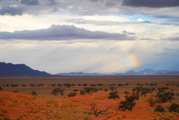 namib-805109_0.jpg