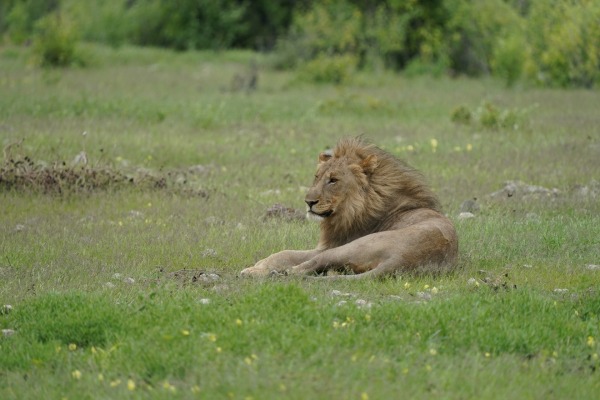 A9201268_ergebnis_0.jpg
